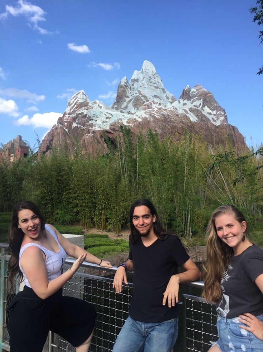Place Animal Kingdom