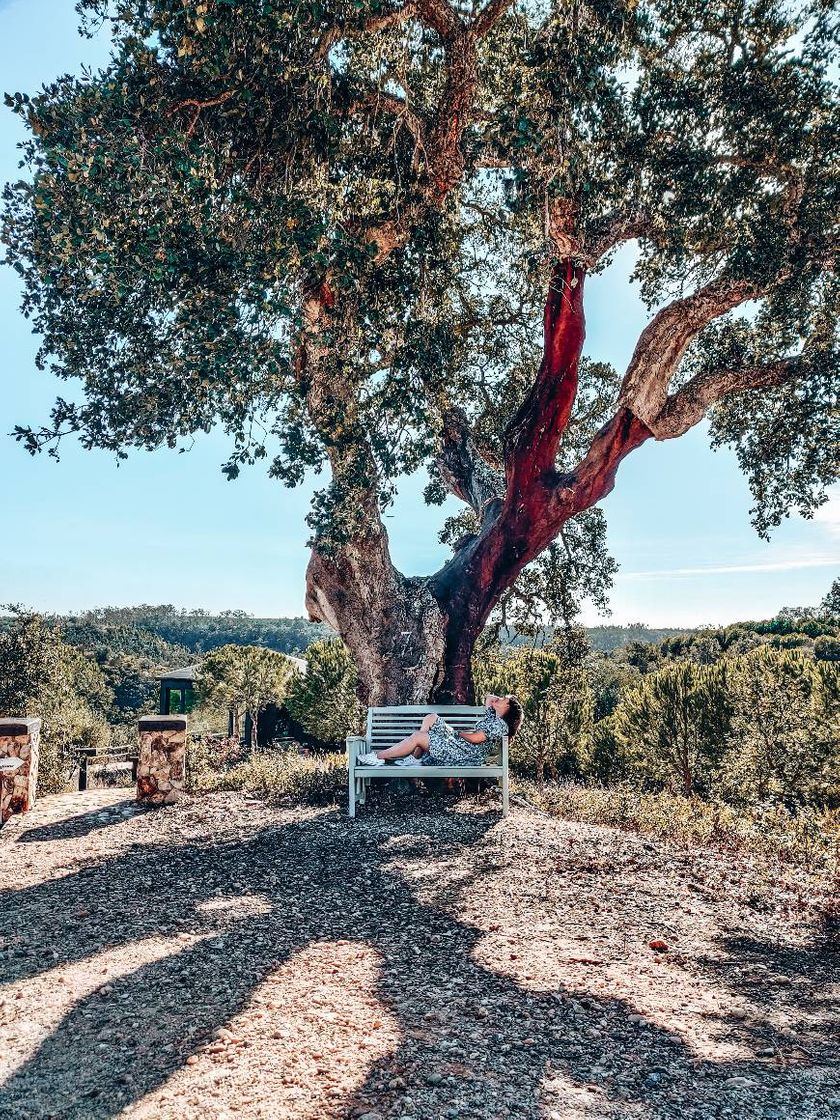 Place Herdade do Amarelo - Natura & SPA - Turismo Rural no Alentejo