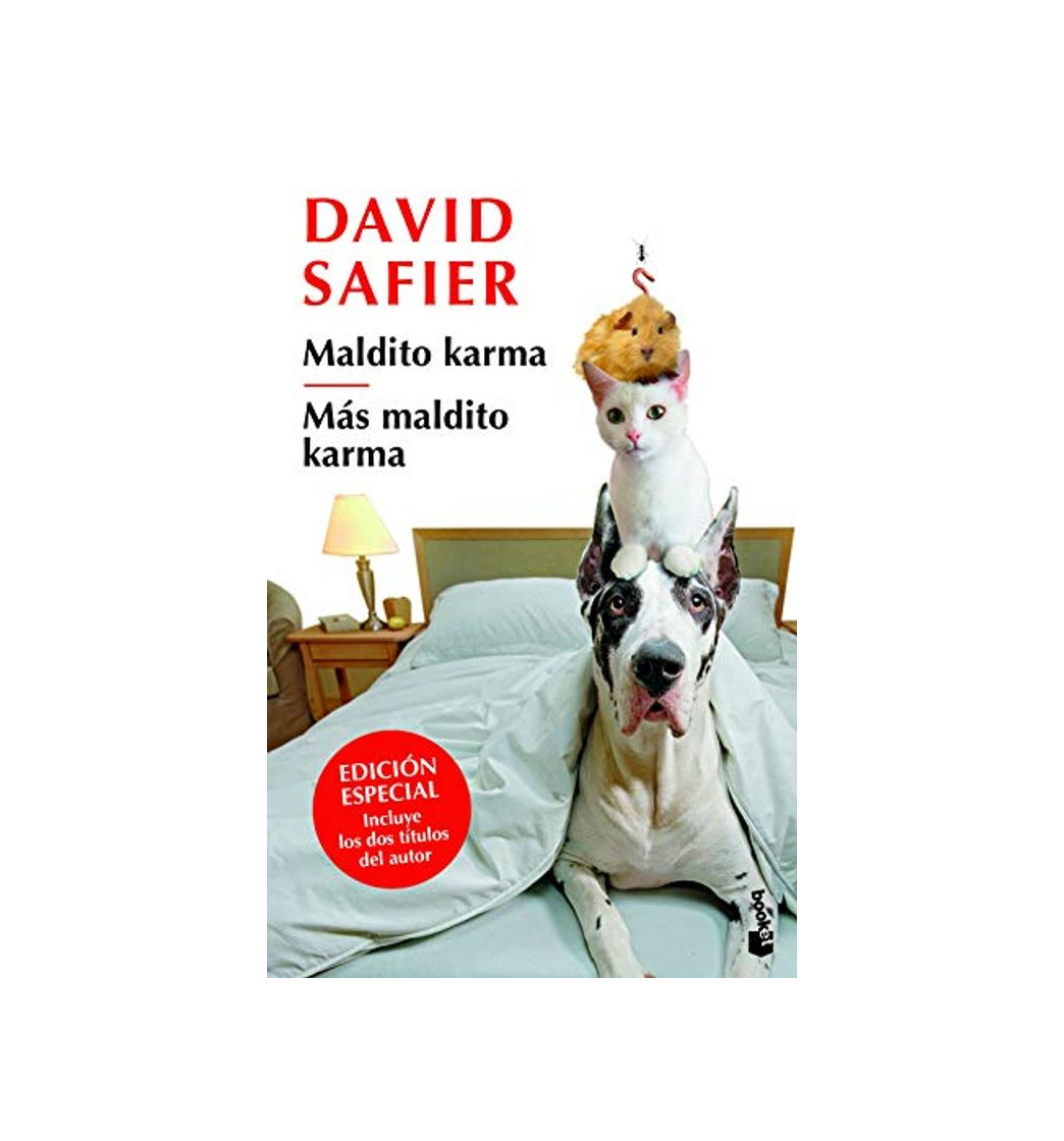 Social Maldito karma