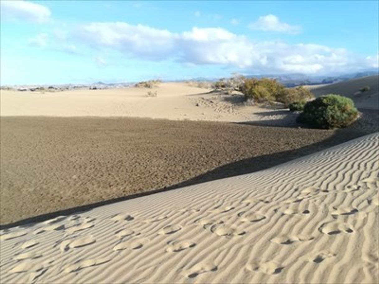 Place Maspalomas