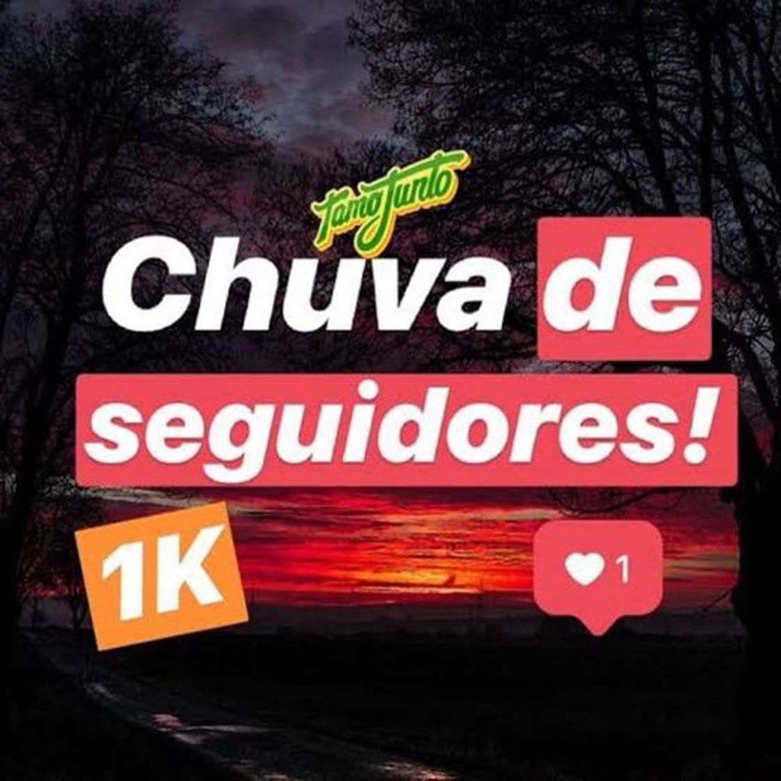 Fashion ☔️CHUVA DE SEGUIDORES ☔️ PARTICIPEM PRA GANHAR