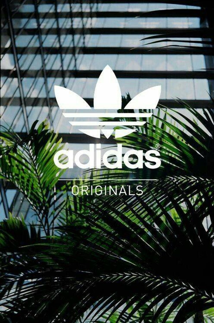 Moda Adidas