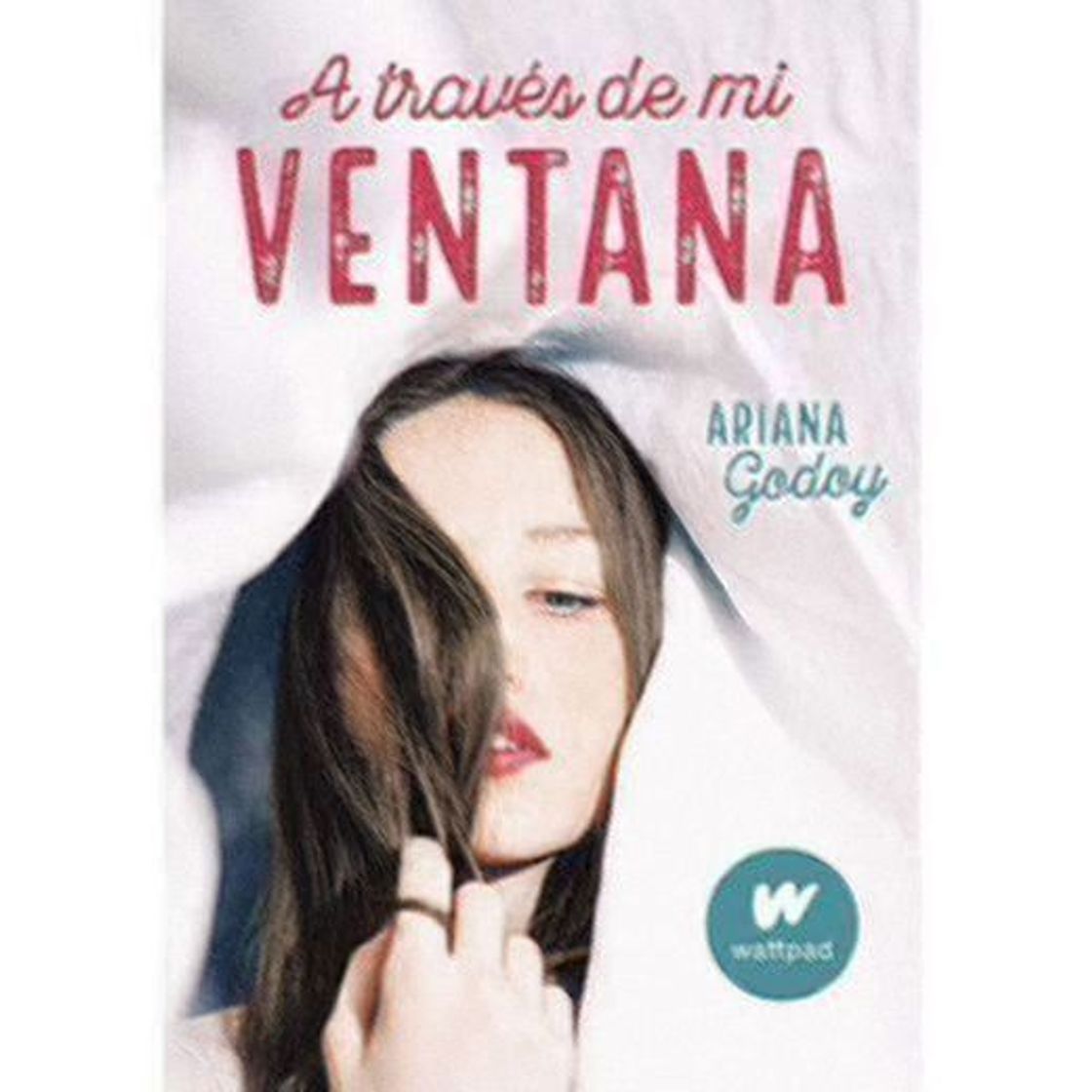 Libro A través de mi ventana