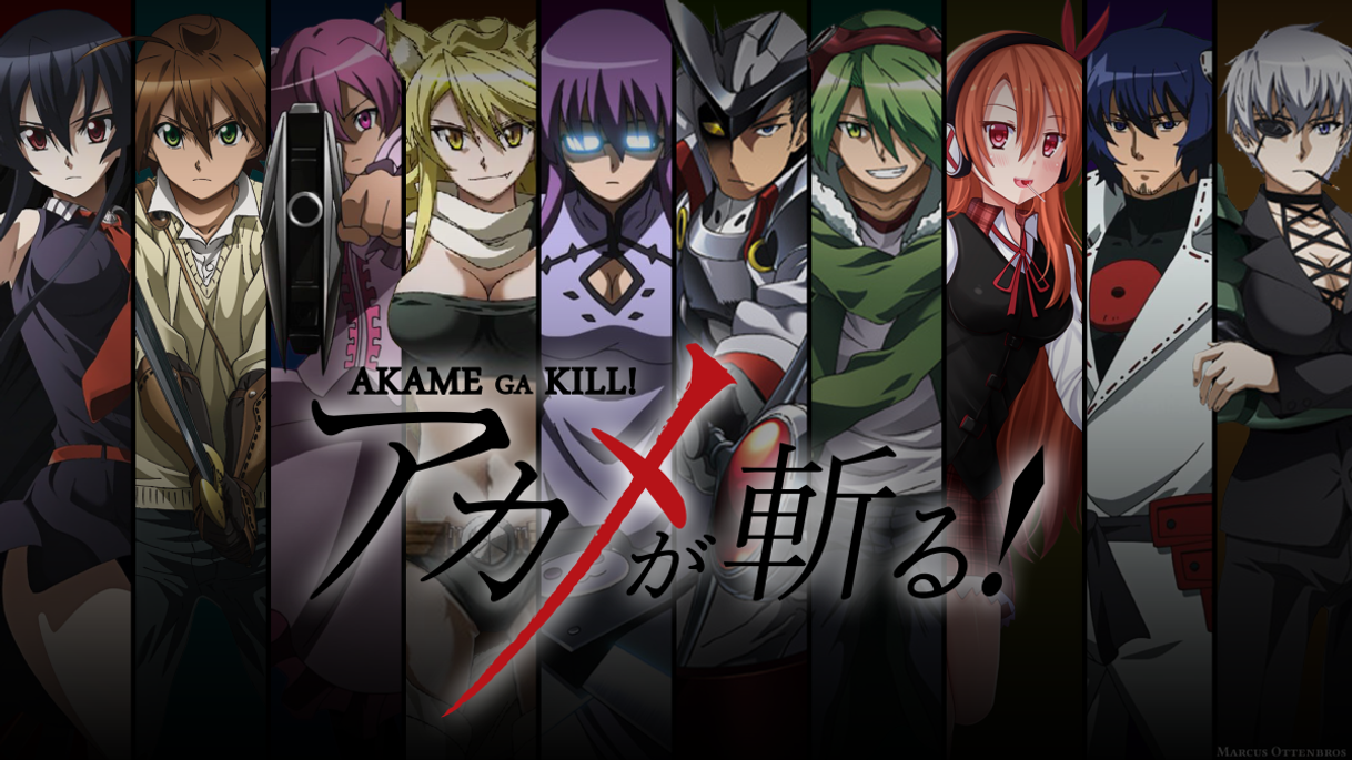 Fashion Akame Ga Kill