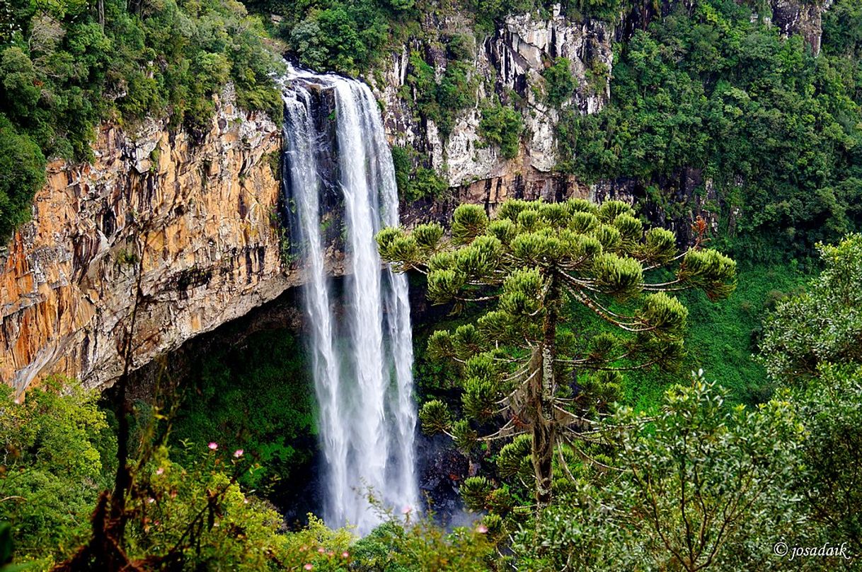 Place De encher os olhos: as 7 cachoeiras mais bonitas do Brasil