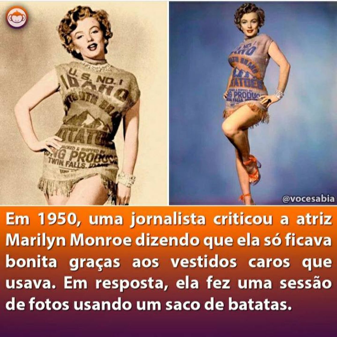 Moda Você sabia?