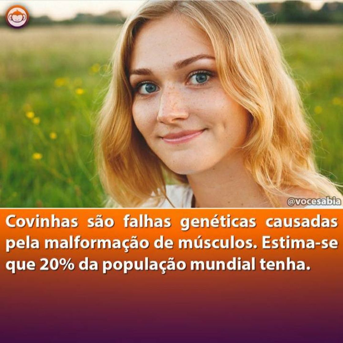 Fashion Você sabia?