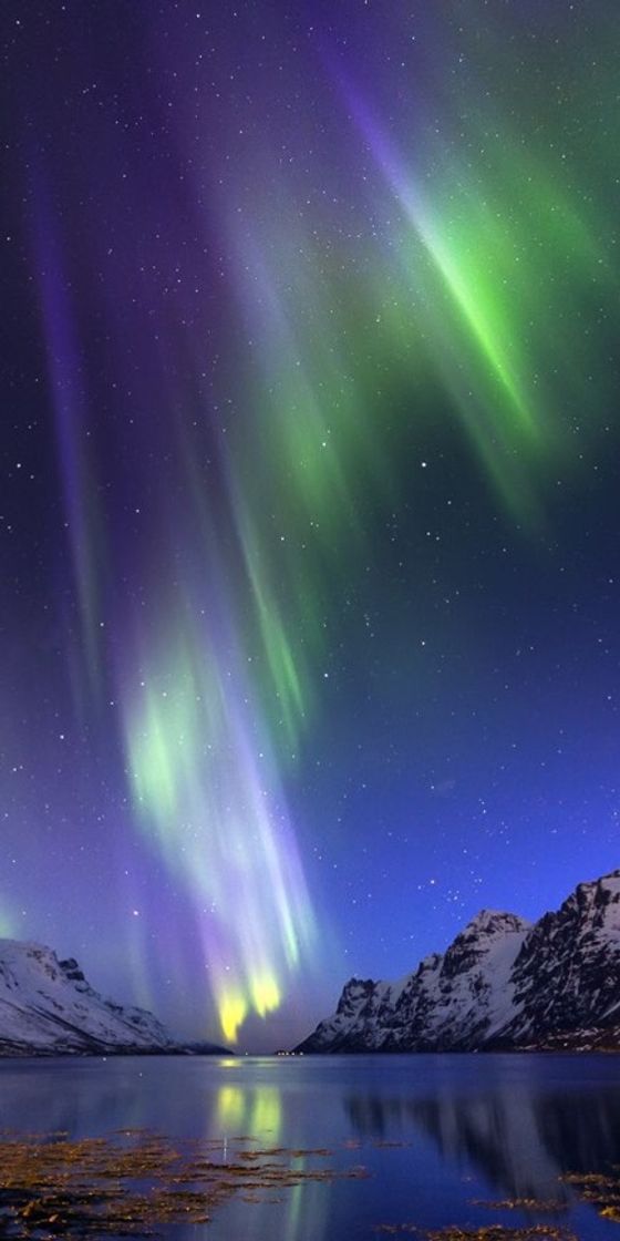 Aurora Boreal