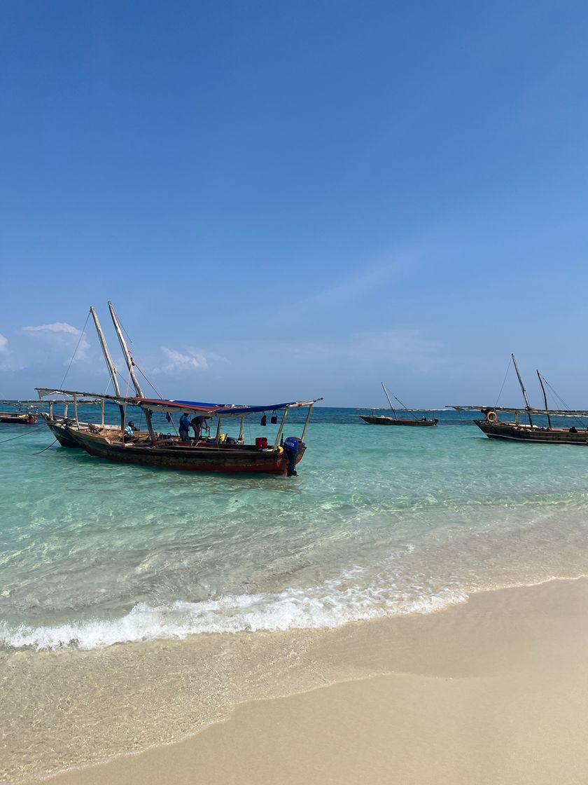 Lugares Safari Blue Boat Transfer Point