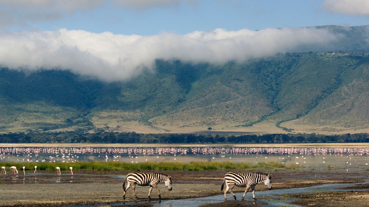 Lugar Ngorongoro Crater