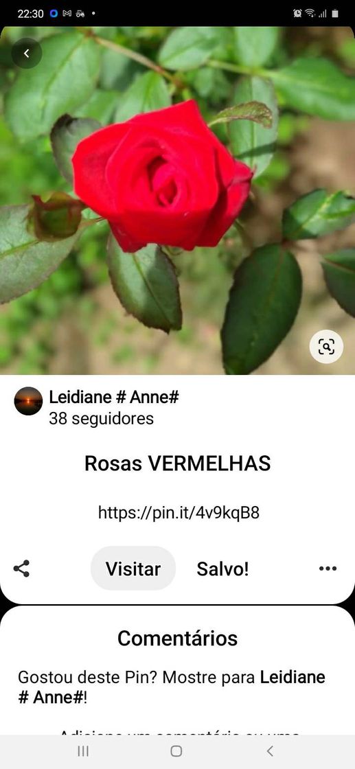 Moda Rosa VERMELHA 