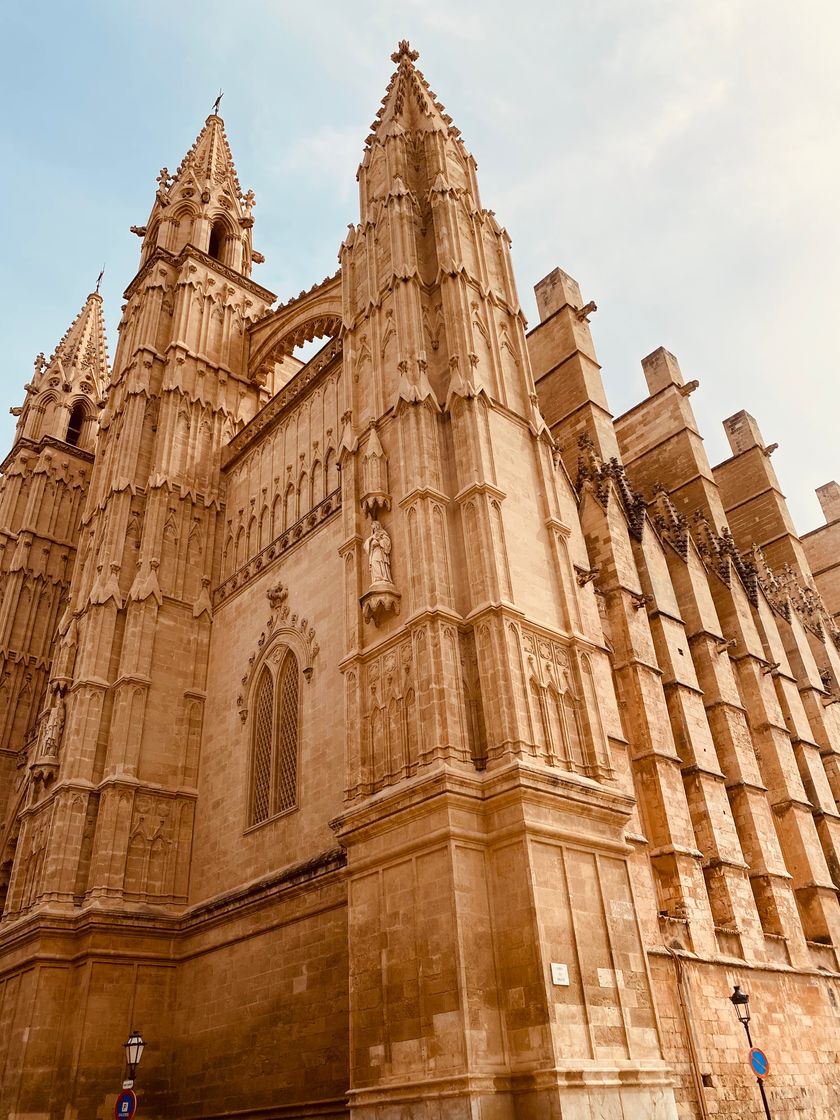Place Palma de Mallorca