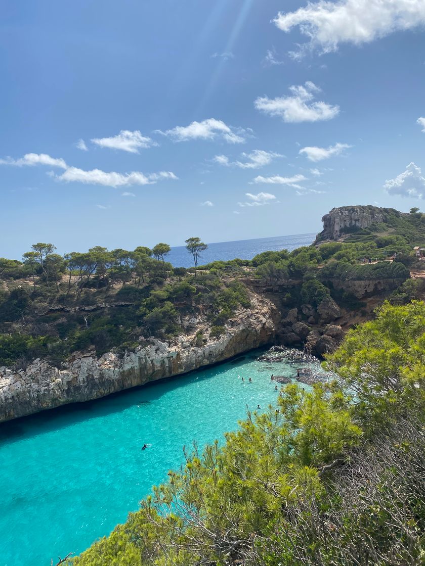 Place Cala D'or