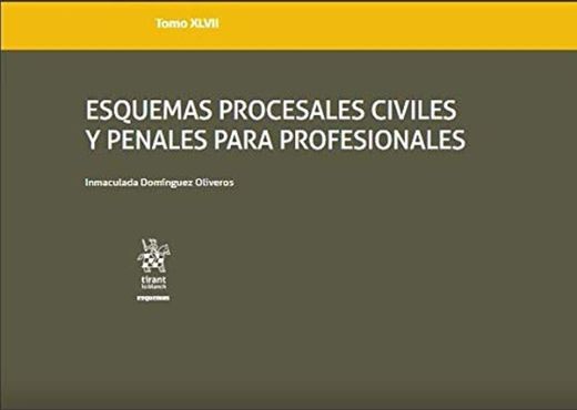 Tomo XLVII Esquemas Procesales Civiles y Penales Para Profesionales: 1