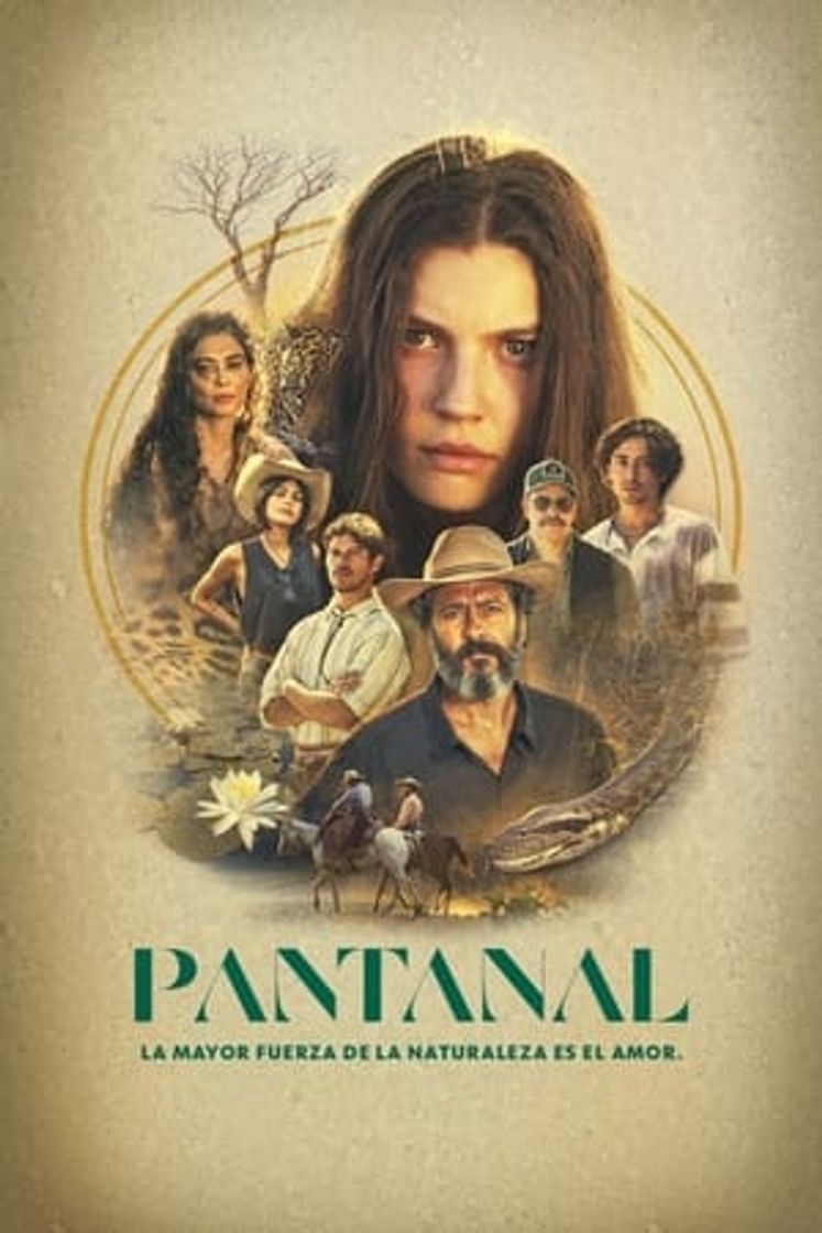 Serie Pantanal