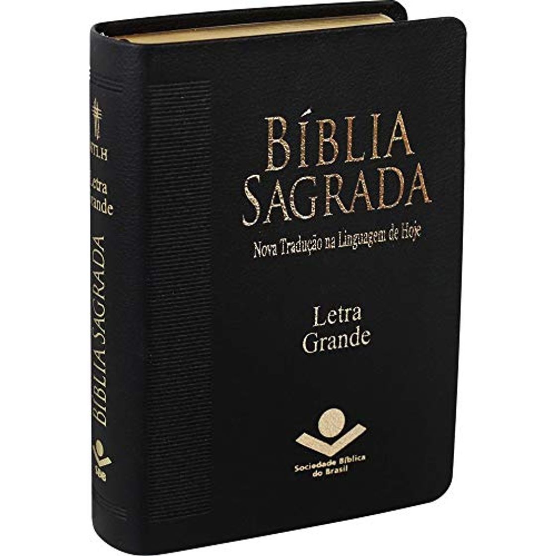 Book Bíblia Sagrada Letra Grande - Preta - SBB