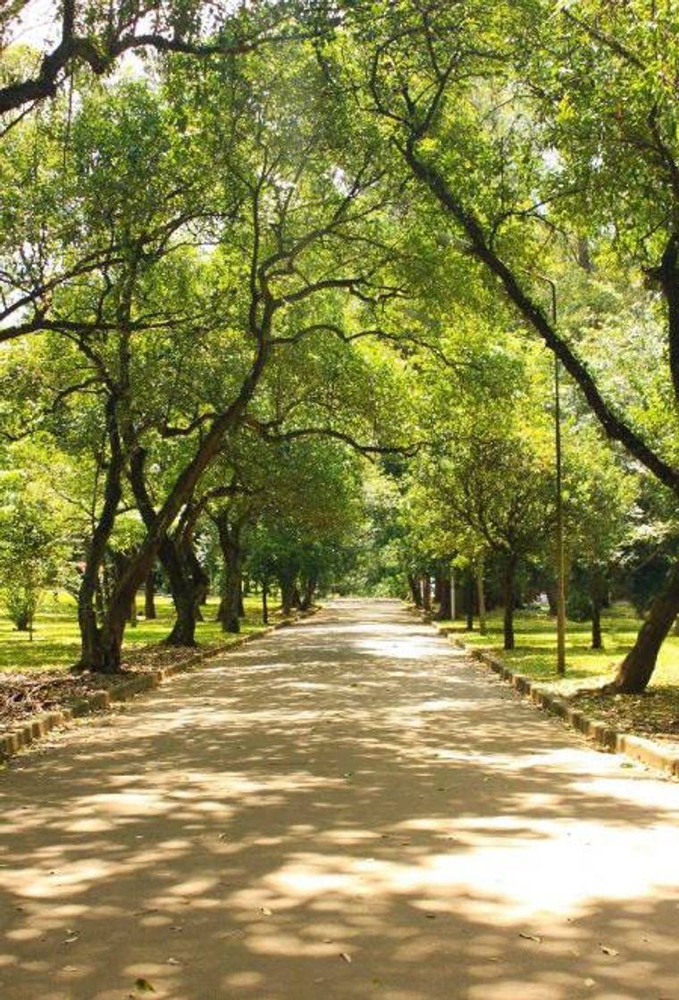 Place Parque Ibirapuera