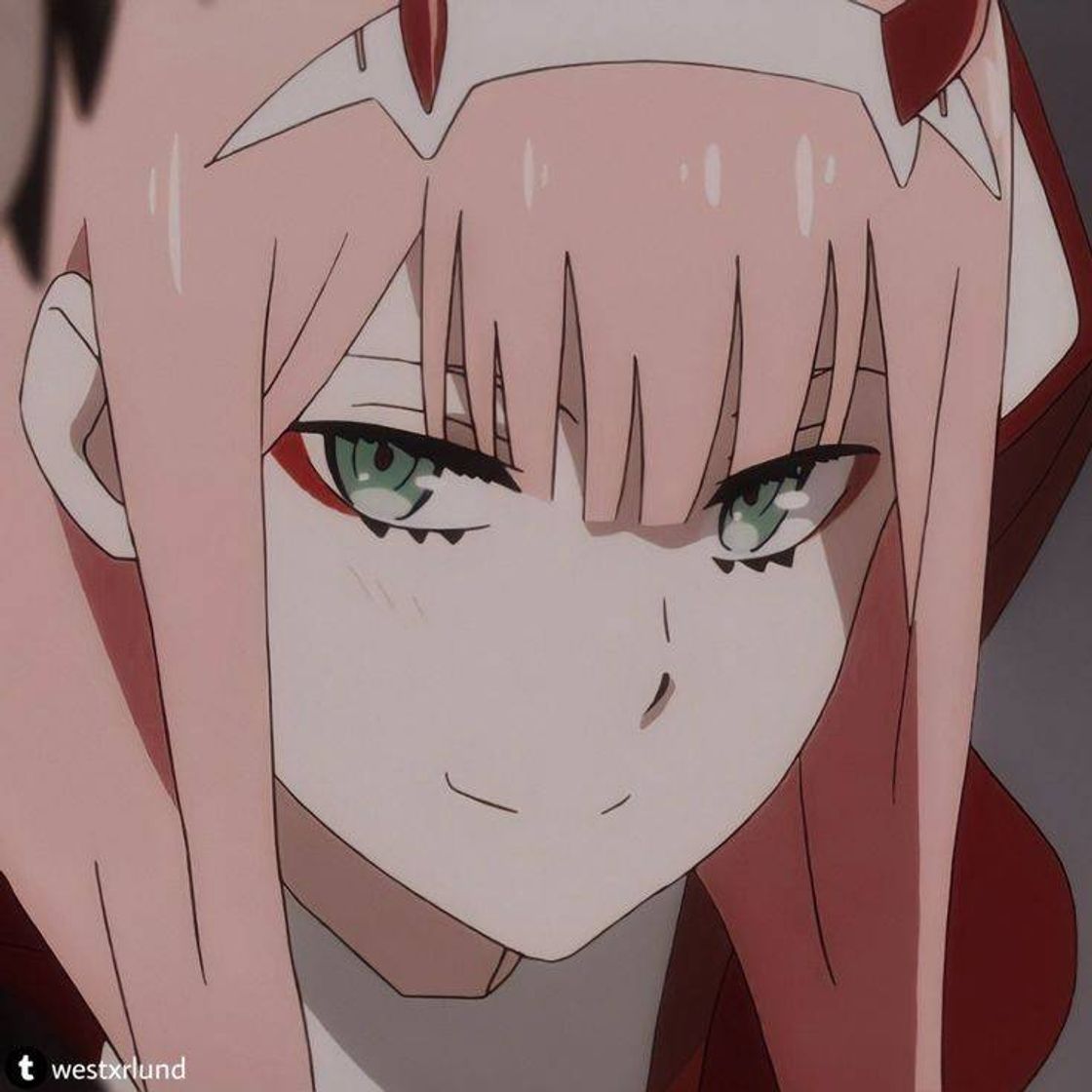 Social zerotwo
