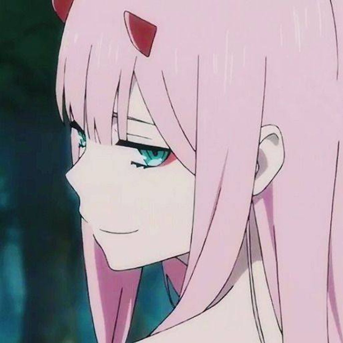 Social zerotwo