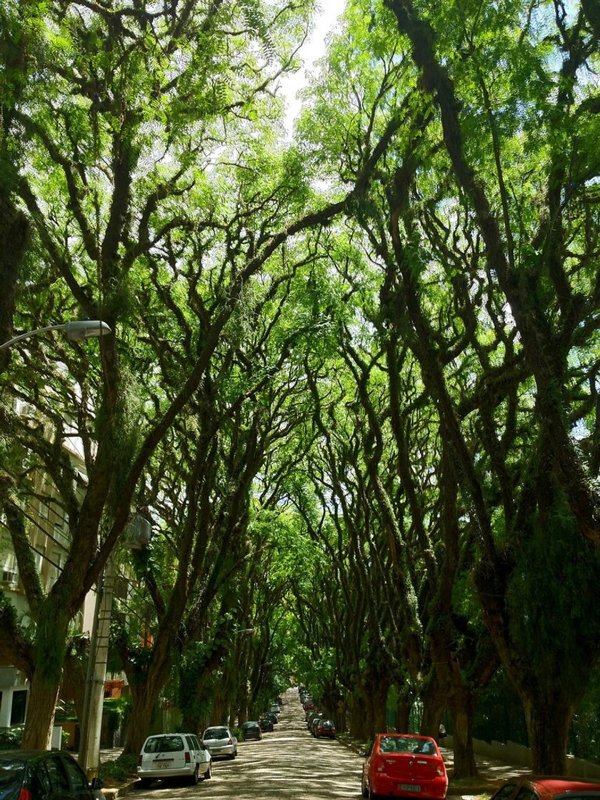 Place Rua Gonçalo de Carvalho