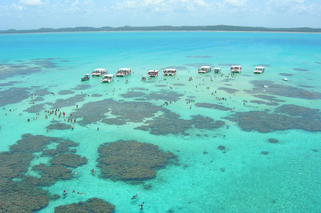 Place Maceió