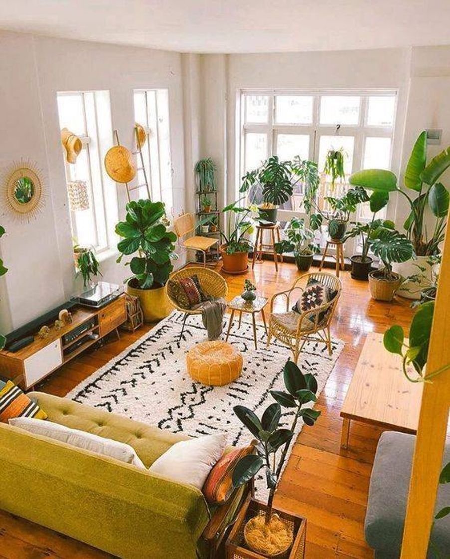 Fashion Harmonize sua casa com a energia das plantas!!!!