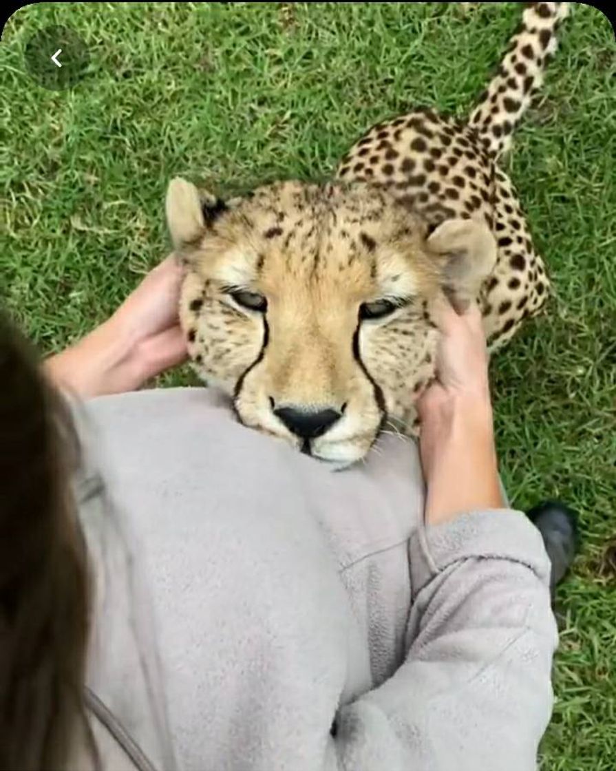 Fashion É muito amor 🥰🥰🥰🥰