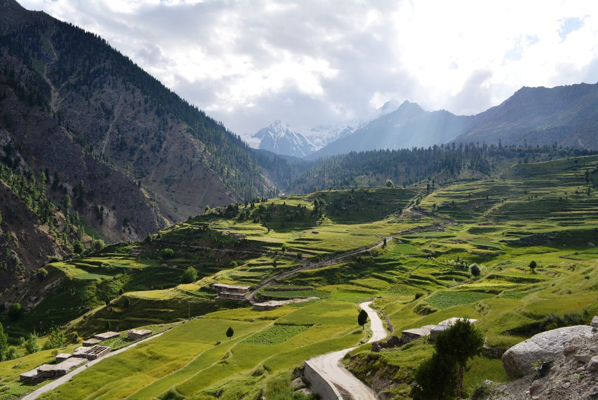 Places Deosai Skardu Road