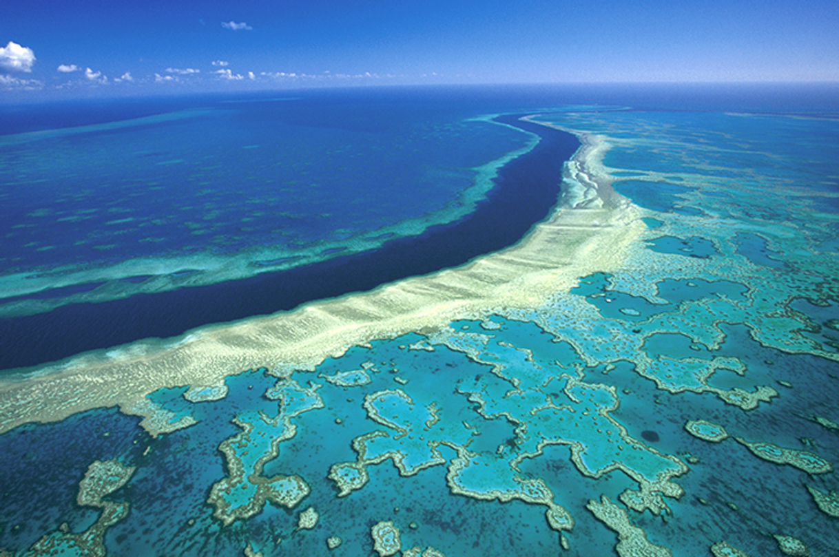 Place Great Barrier Reef