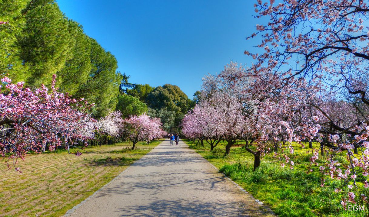 Place Parque de la Quinta de los Molinos