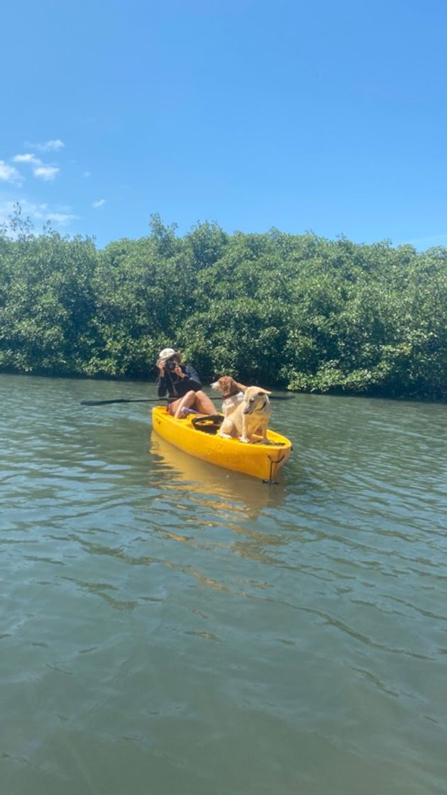 Lugar ECOMAR Ecoturismo Marinho - Boipeba