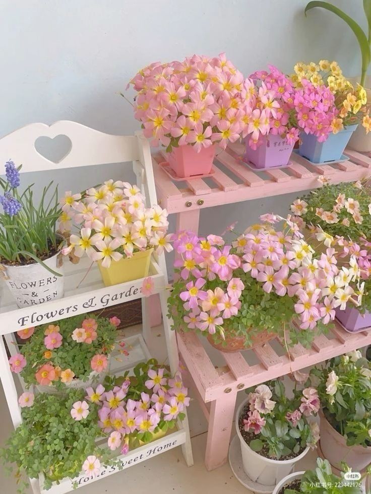 Social Inspiração de flores para sua casa.🌷