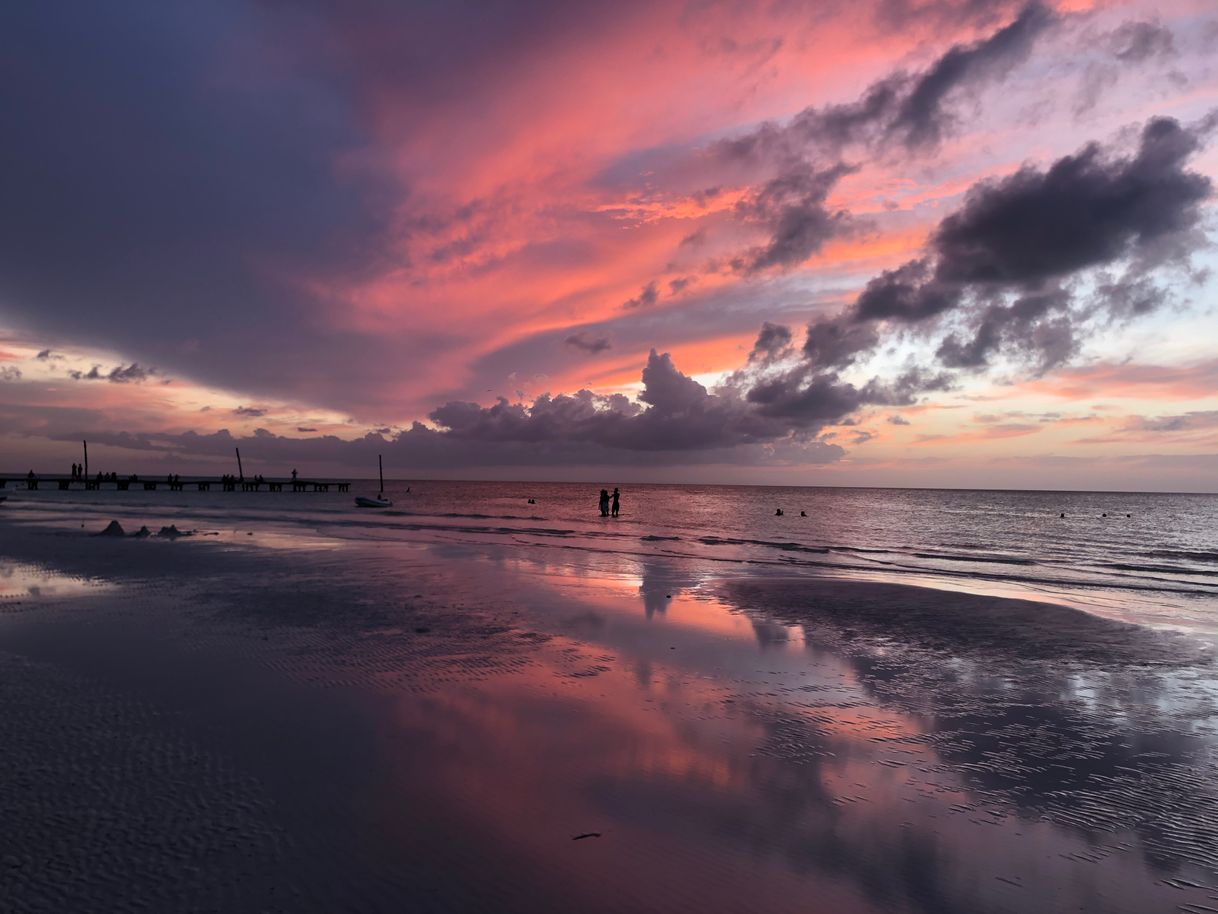 Lugar Isla de Holbox