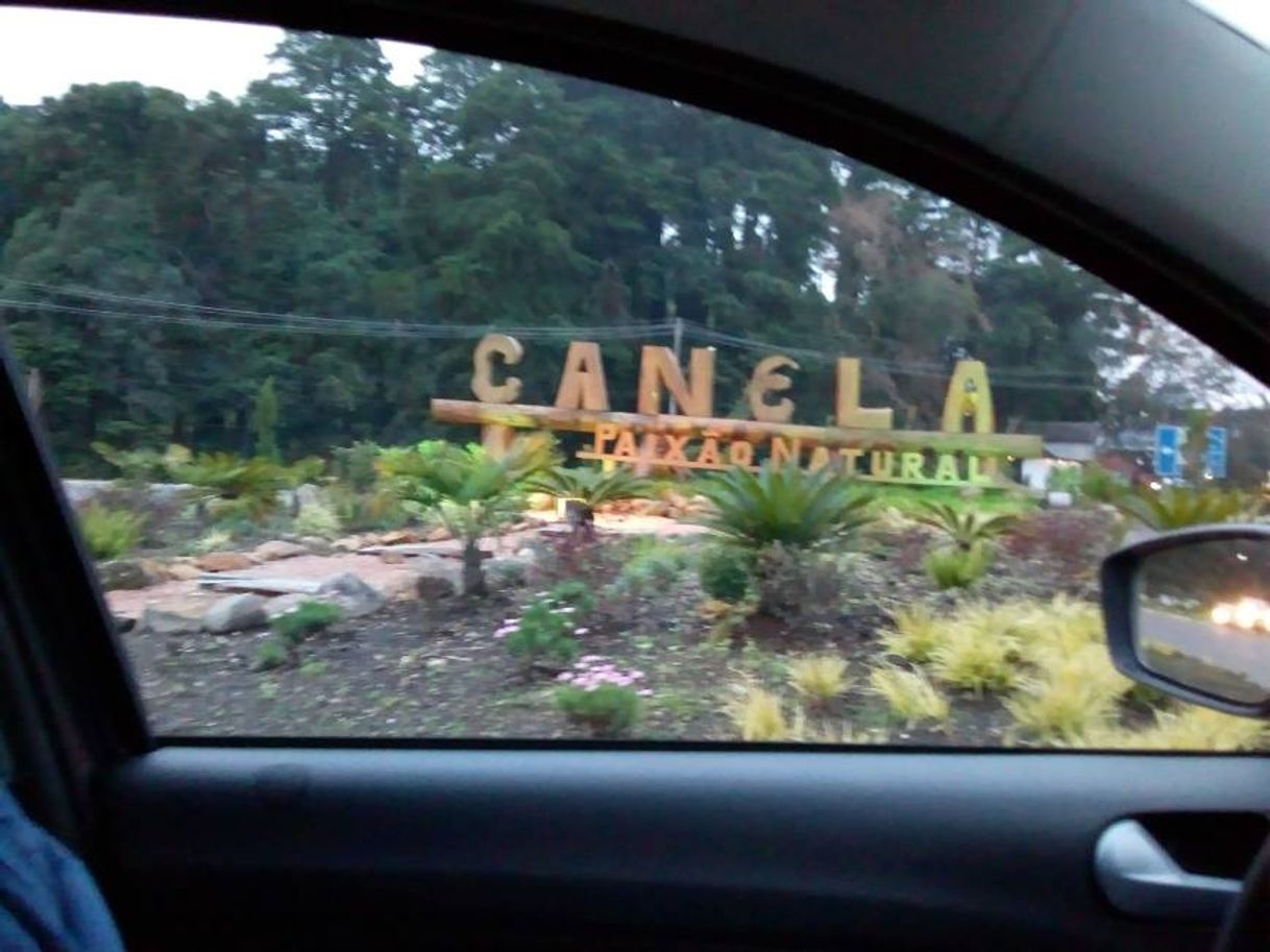 Canela