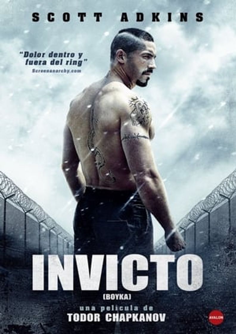 Película Boyka: Invicto IV