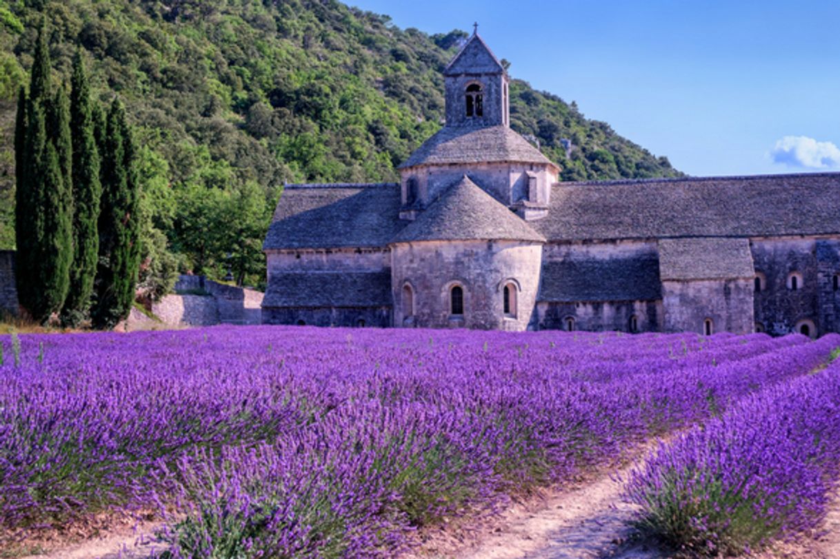 Place Provence