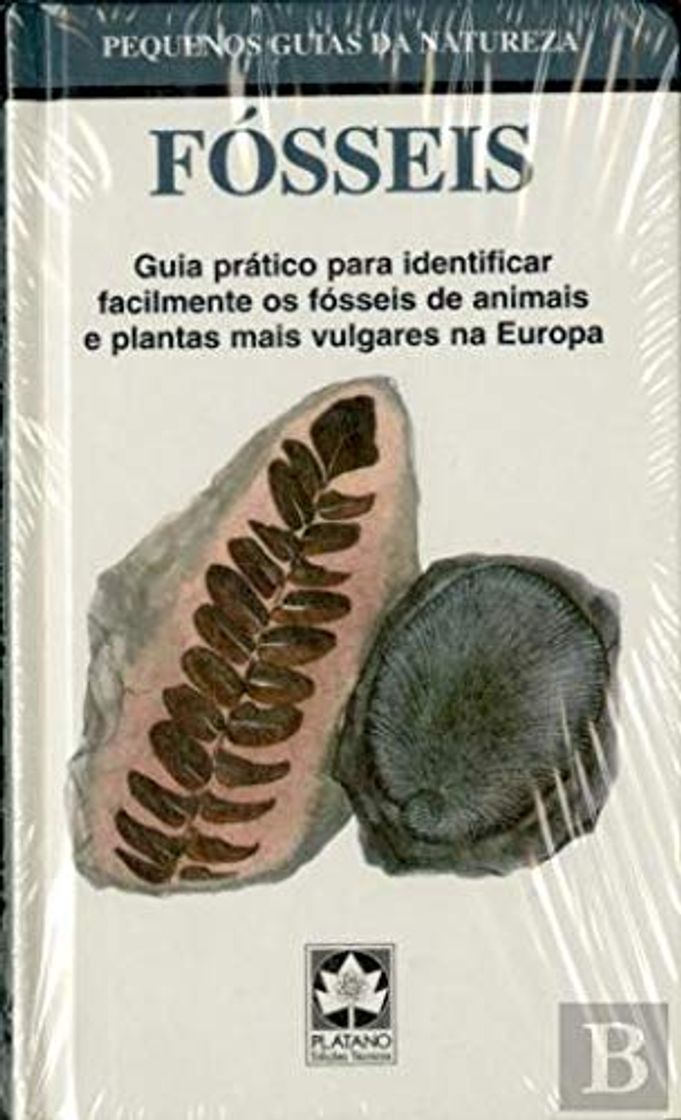 Fósseis Guia Prático para Identificar Facilmente Fósseis de Animais e Plantas Mais Vulgares na Europa