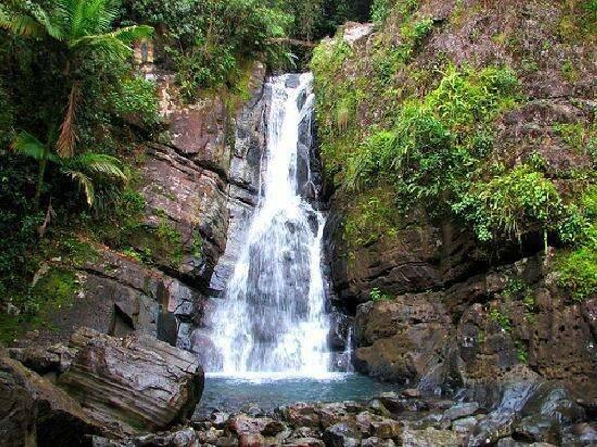 Lugar El Yunque