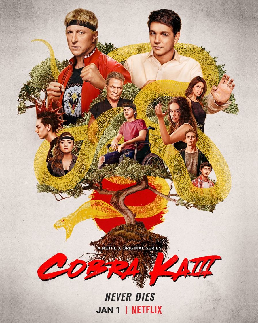 Serie Cobra Kai