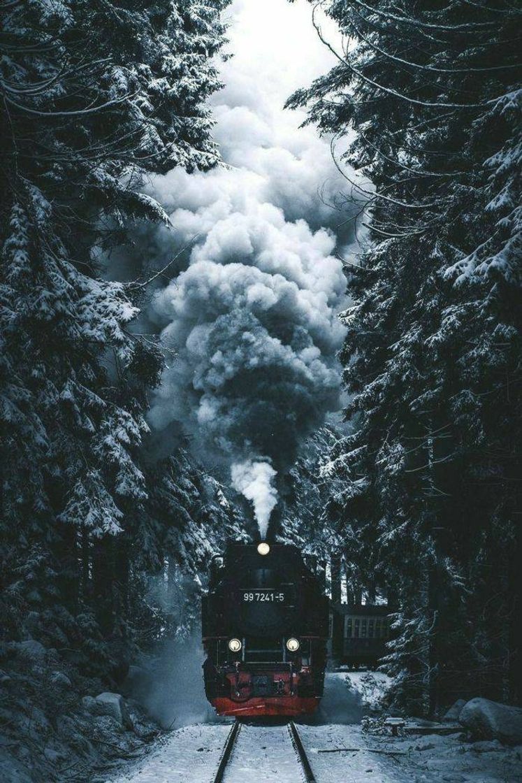 Social Wallpaper trem 