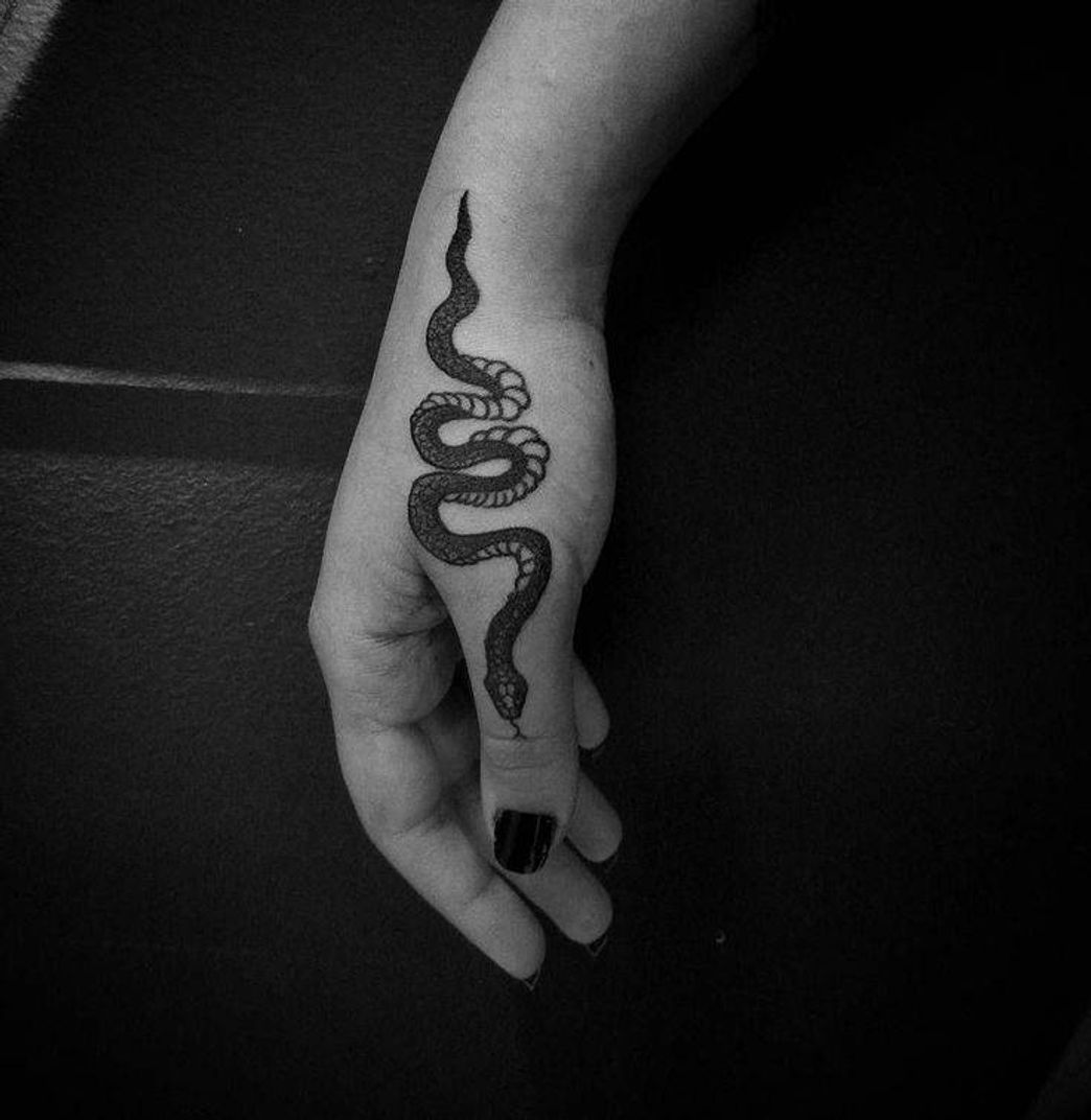 Social 🐍