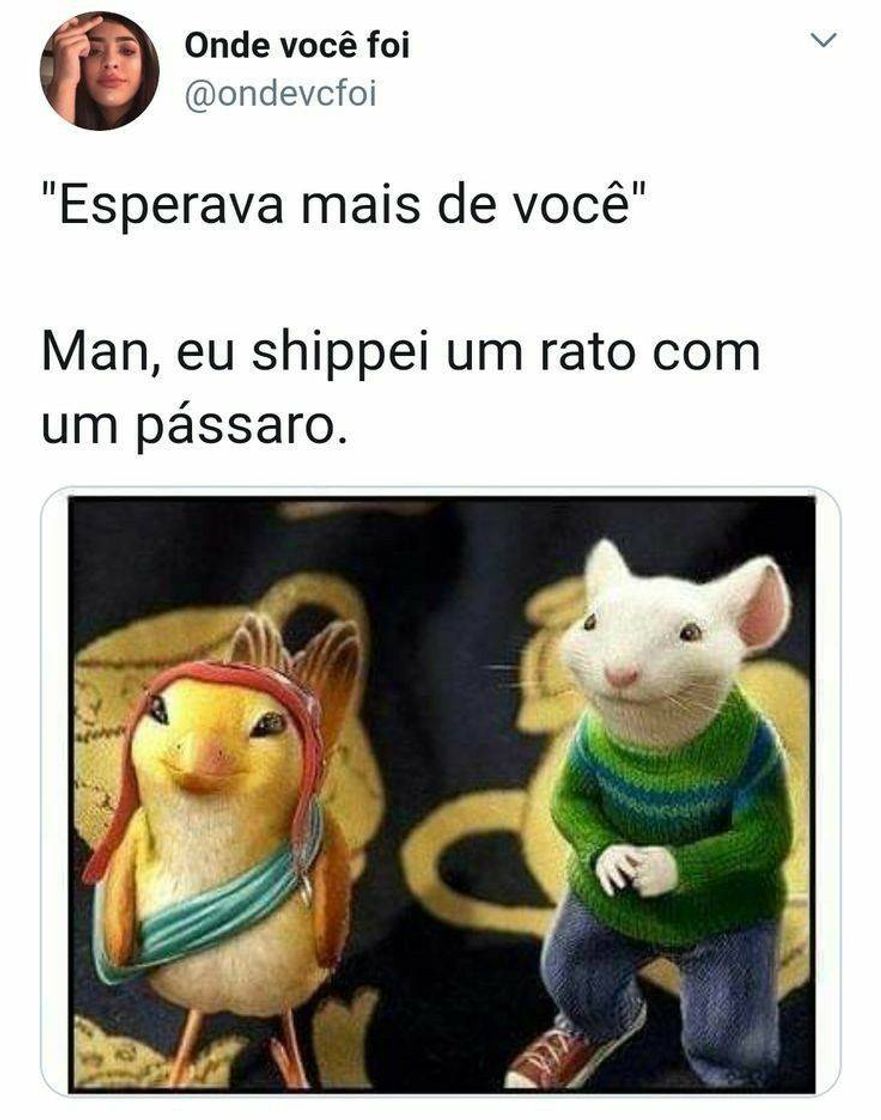 Moda Entra no perfil que tem mais meme 