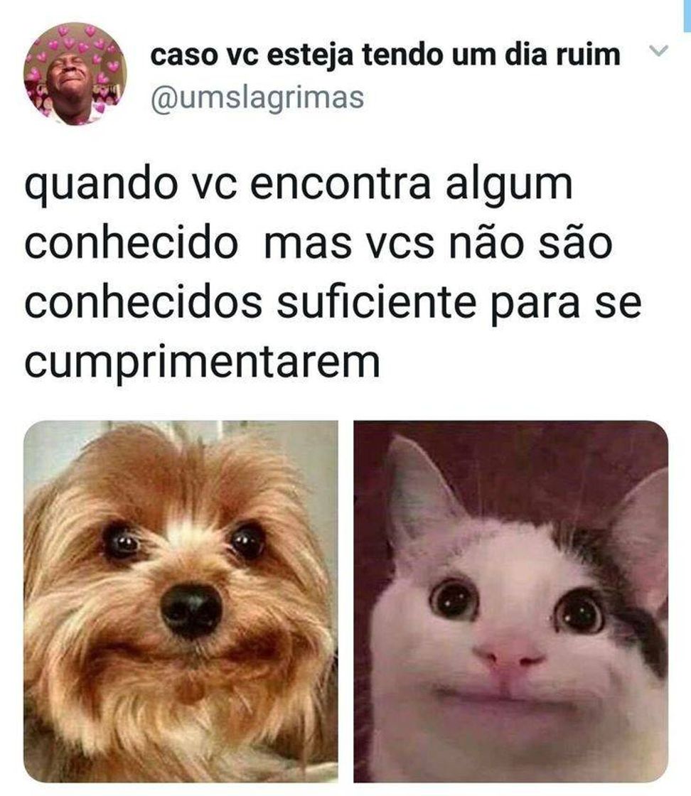 Social Entra no perfil que tem mais meme 