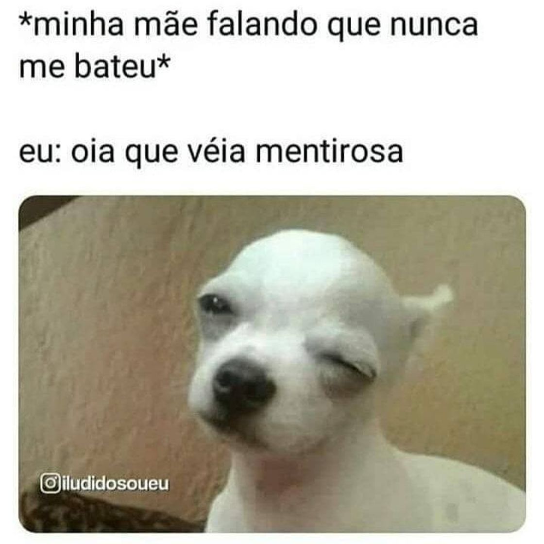 Social Minha mãe da vida 