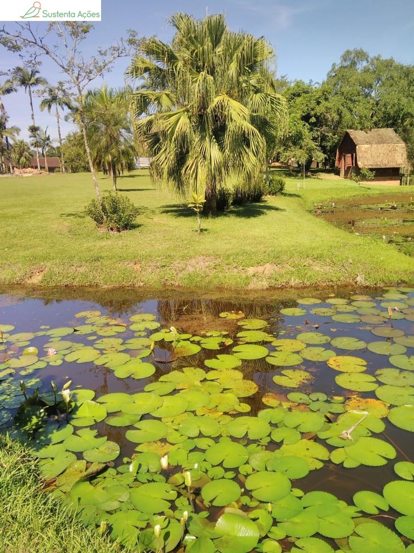 Lugares Jardim botânico