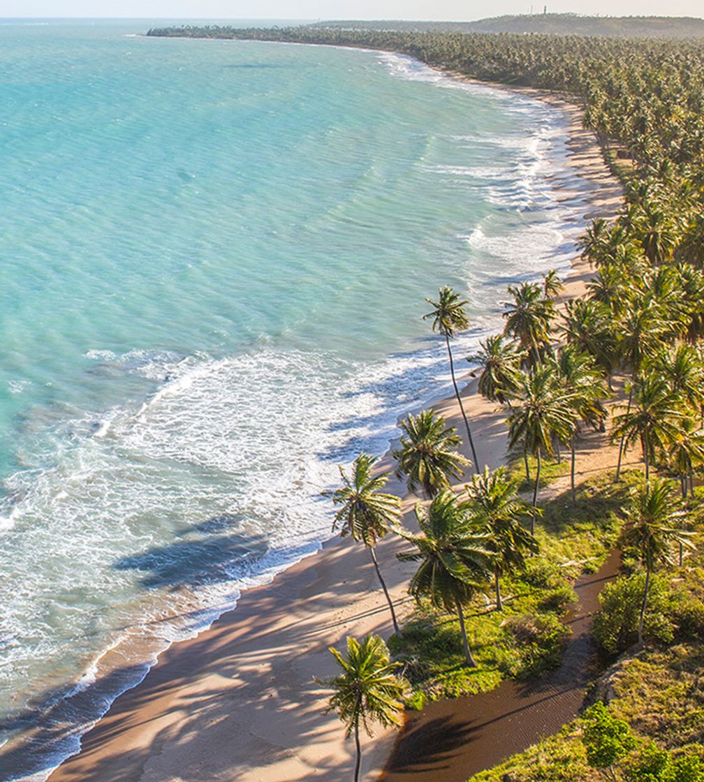 Lugar Praia de Japaratinga