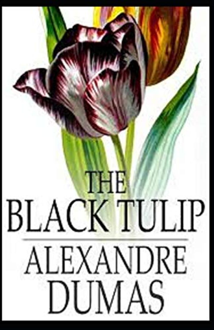 Book The Black Tulip annotated