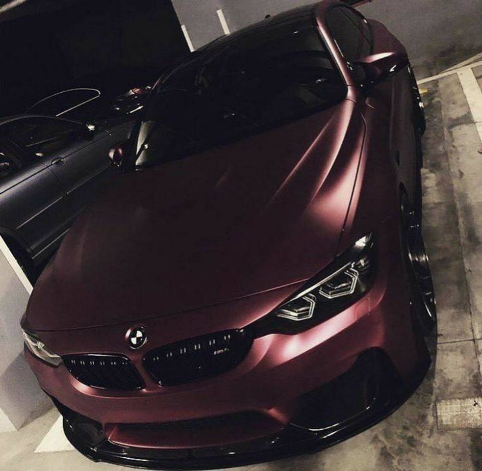 Social 🚗💸
