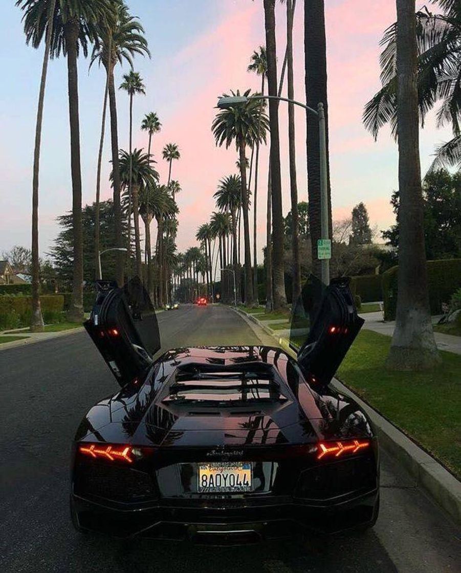 Social 🚗💸