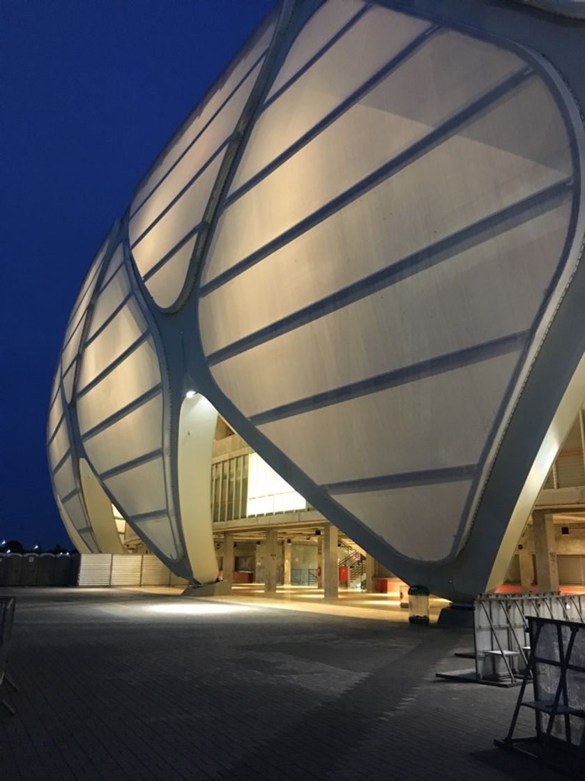 Place Arena da Amazônia - Manaus